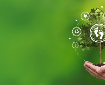 Understanding Your Environmental Impact: How to Calculate Your Home or Business's Carbon Footprint