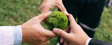 The Industries Driving Demand for Energy Monitoring in 2026