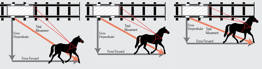Horse Analogy